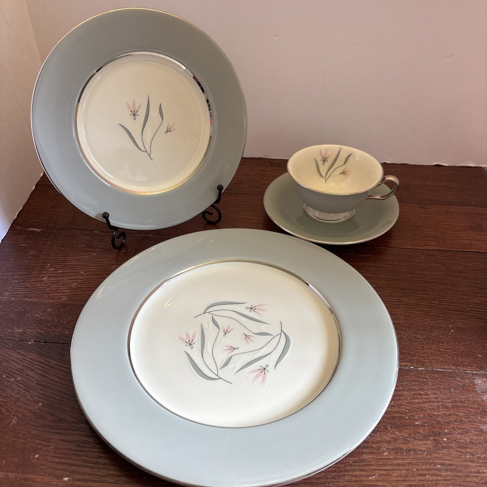 Castleton Flair 4 Piece Place Setting Dinner Plate, Salad‎ Plate, Cup And Saucer